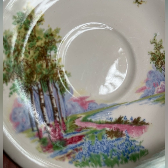 Ainsley Pink Bone China Tea Cup and Saucer - Picture 7 of 9